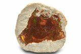 Ethiopian Chocolate Opal Nodule - Yita Ridge #367234-1